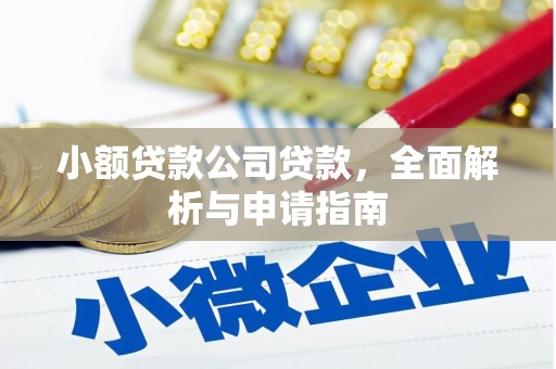东兴小额贷款公司贷款，全面解析与申请指南