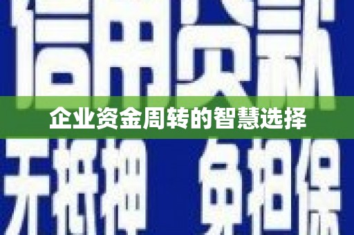 东兴企业资金周转的智慧选择