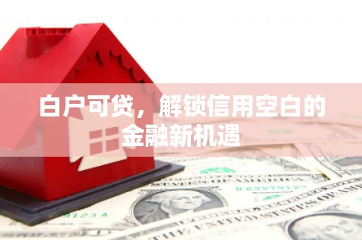 东兴白户可贷，解锁信用空白的金融新机遇