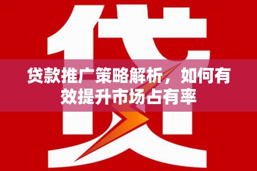 东兴贷款推广策略解析，如何有效提升市场占有率