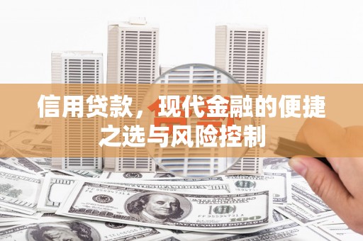东兴信用贷款，现代金融的便捷之选与风险控制