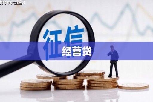 东兴经营贷