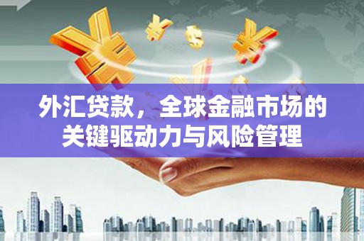 东兴外汇贷款，全球金融市场的关键驱动力与风险管理