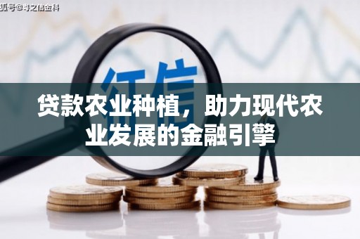 东兴贷款农业种植，助力现代农业发展的金融引擎