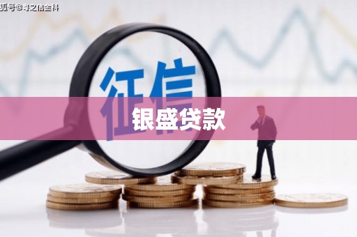 东兴银盛贷款