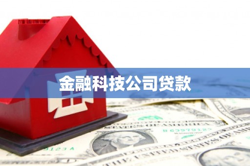东兴金融科技公司贷款
