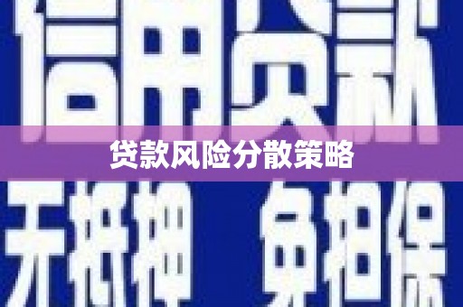 东兴贷款风险分散策略
