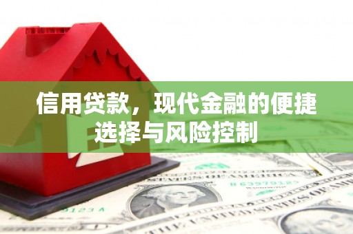 东兴信用贷款，现代金融的便捷选择与风险控制