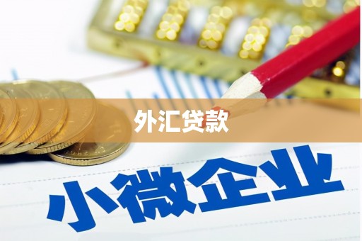 东兴外汇贷款