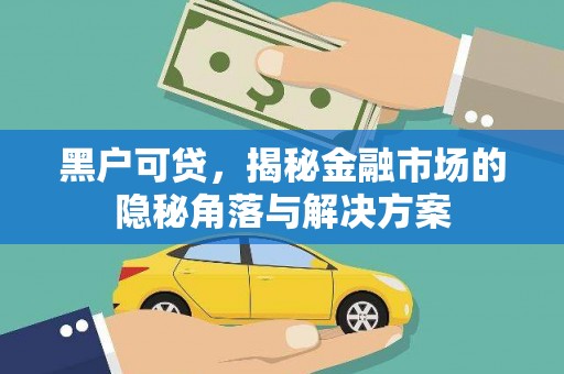 东兴黑户可贷，揭秘金融市场的隐秘角落与解决方案