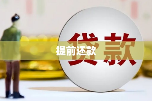 东兴提前还款