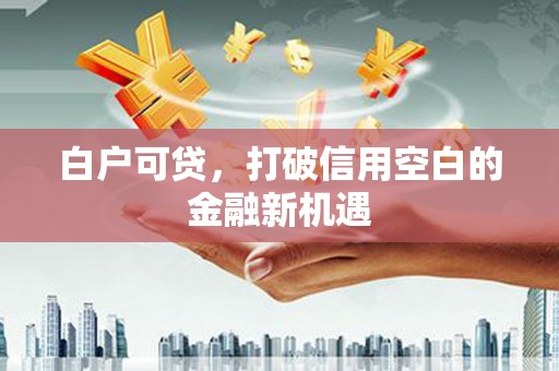 东兴白户可贷，打破信用空白的金融新机遇