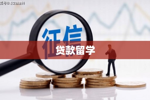 东兴贷款留学