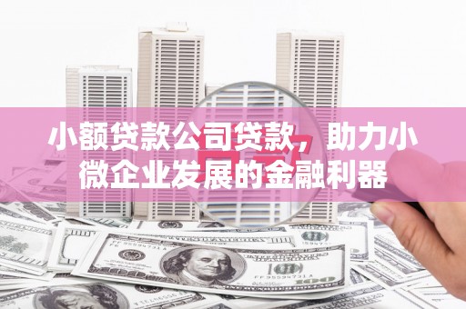 东兴小额贷款公司贷款，助力小微企业发展的金融利器