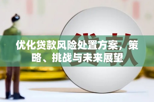 东兴优化贷款风险处置方案，策略、挑战与未来展望