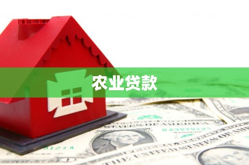 东兴农业贷款