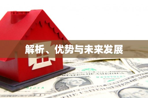 东兴解析、优势与未来发展