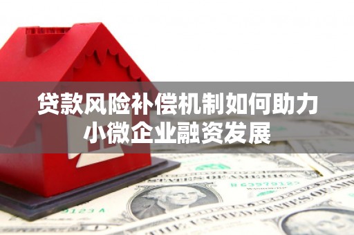 东兴贷款风险补偿机制如何助力小微企业融资发展