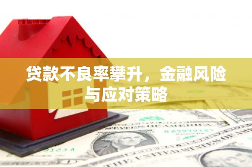 东兴贷款不良率攀升，金融风险与应对策略