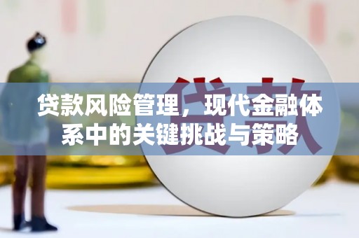 东兴贷款风险管理，现代金融体系中的关键挑战与策略
