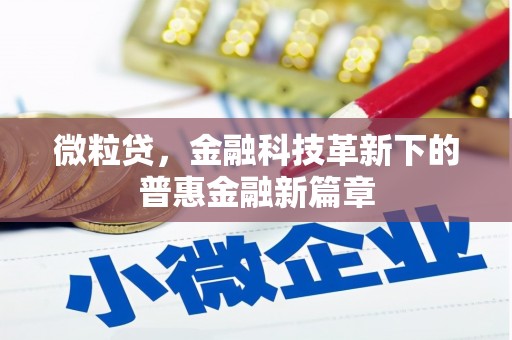 东兴微粒贷，金融科技革新下的普惠金融新篇章