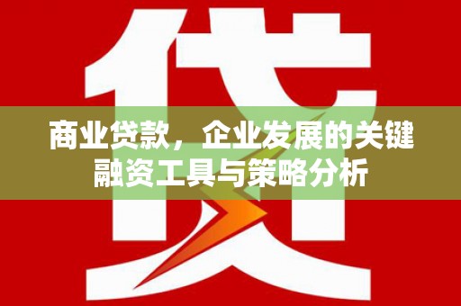 东兴商业贷款，企业发展的关键融资工具与策略分析
