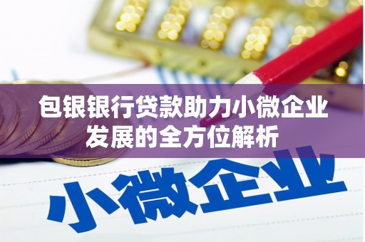 东兴包银银行贷款助力小微企业发展的全方位解析