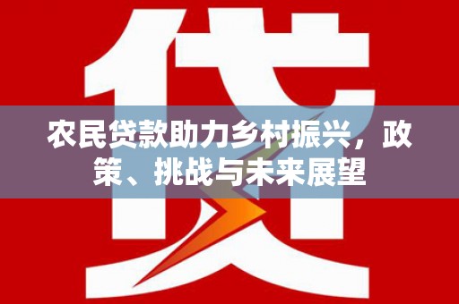 东兴农民贷款助力乡村振兴，政策、挑战与未来展望