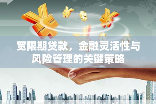 东兴宽限期贷款，金融灵活性与风险管理的关键策略