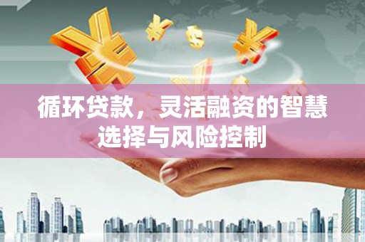 东兴循环贷款，灵活融资的智慧选择与风险控制