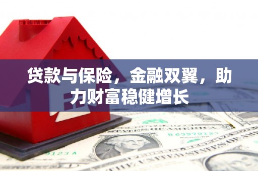 东兴贷款与保险，金融双翼，助力财富稳健增长