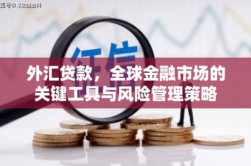 东兴外汇贷款，全球金融市场的关键工具与风险管理策略