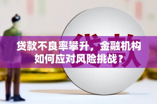 东兴贷款不良率攀升，金融机构如何应对风险挑战？