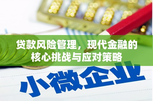 东兴贷款风险管理，现代金融的核心挑战与应对策略