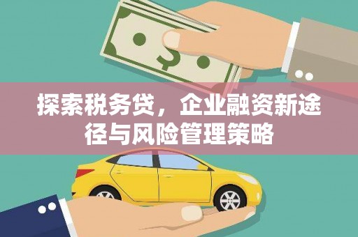 东兴探索税务贷，企业融资新途径与风险管理策略