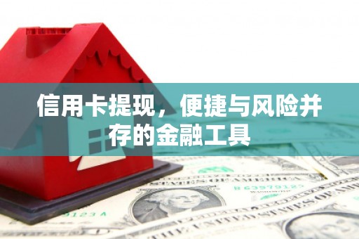 东兴信用卡提现，便捷与风险并存的金融工具