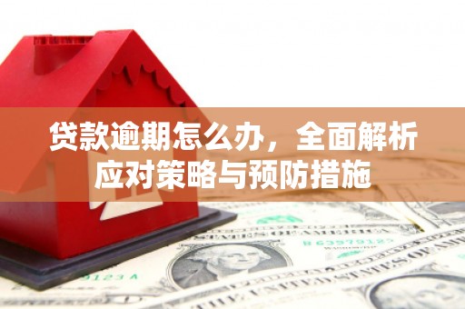 东兴贷款逾期怎么办，全面解析应对策略与预防措施