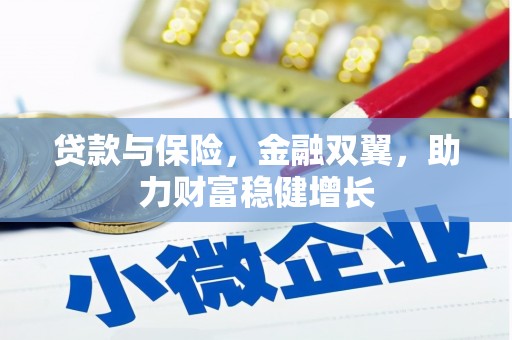 东兴贷款与保险，金融双翼，助力财富稳健增长