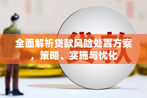 东兴全面解析贷款风险处置方案，策略、实施与优化