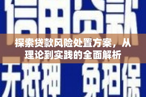 东兴探索贷款风险处置方案，从理论到实践的全面解析