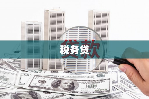 东兴税务贷