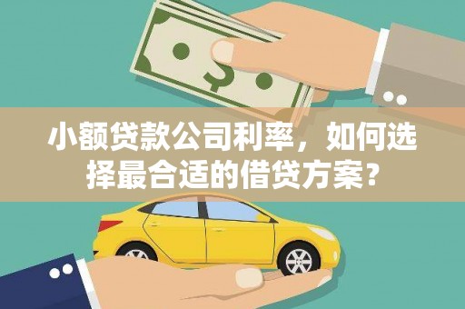 东兴小额贷款公司利率，如何选择最合适的借贷方案？