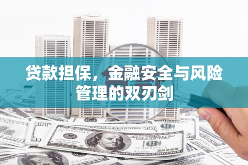 东兴贷款担保，金融安全与风险管理的双刃剑