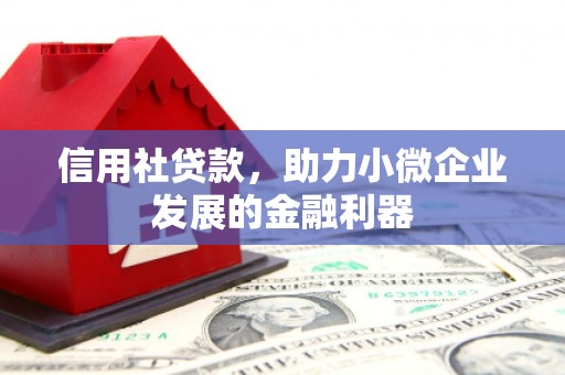 东兴信用社贷款，助力小微企业发展的金融利器
