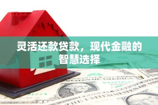 东兴灵活还款贷款，现代金融的智慧选择