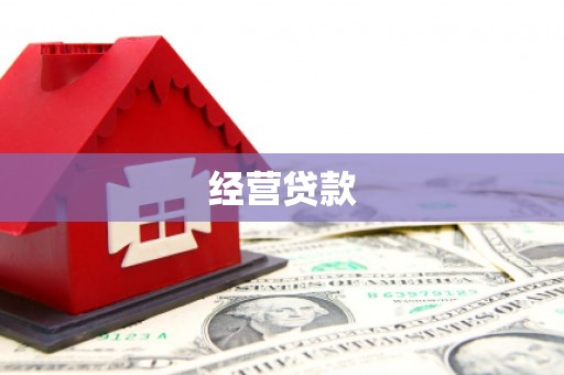 东兴经营贷款