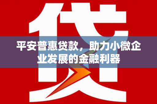 东兴平安普惠贷款，助力小微企业发展的金融利器