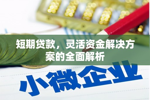 东兴短期贷款，灵活资金解决方案的全面解析