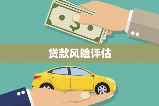 东兴贷款风险评估