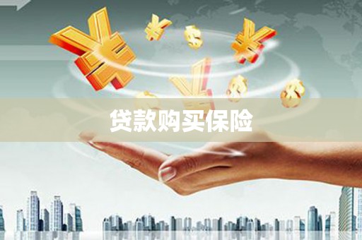 东兴贷款购买保险
